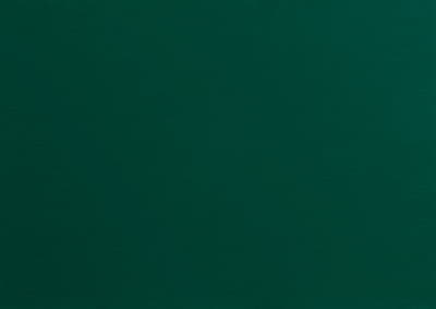 Зеленый мох