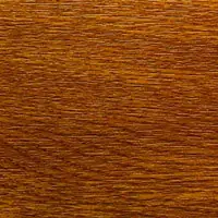 Золотой дуб