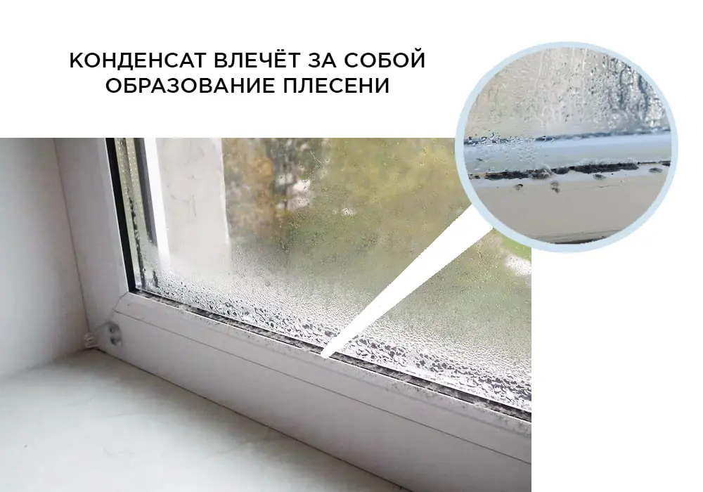 плесень из-за конденсата