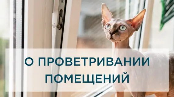 Все ли способы проветривания помещения одинаково полезны?
